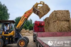 赤峰稻草糧倉廠家電話號(hào)碼查詢