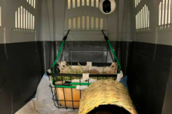 赤峰寵物航空箱廠家電話號碼