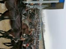 赤峰市敖漢旗電訊局電話號碼