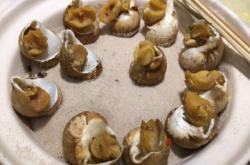 赤峰鼎香樓包房電話多少號(hào)