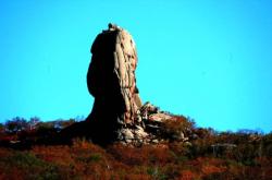 赤峰市奇森臺(tái)球館電話號(hào)碼