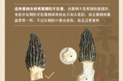 赤峰收購羊肚菌電話號(hào)碼多少