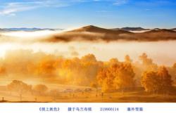 內(nèi)蒙古赤峰部隊官網(wǎng)電話號碼