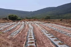 赤峰太平地鎮(zhèn)土地局電話號(hào)碼