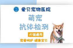 呼市赤峰寵物醫(yī)院電話多少號