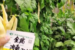 赤峰蕓豆種子批發(fā)電話地址查詢