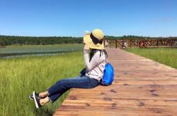 赤峰采緹森林酒店電話多少號