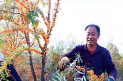 赤峰沙漠之花旗艦店電話號碼