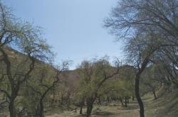 赤峰永星制衣廠地址電話號碼