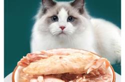 赤峰寵物博覽會官網(wǎng)電話號碼