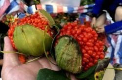 赤峰豆渣廠家批發(fā)電話號(hào)碼多少