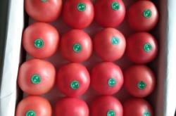 赤峰水果交易中心電話號碼查詢