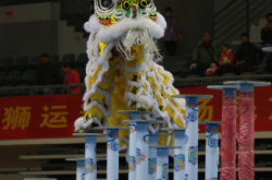 赤峰市舞獅協(xié)會(huì)電話號(hào)碼查詢(xún)