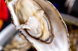 赤峰橋北利豐花園小吃電話號碼