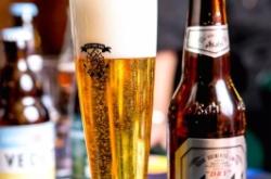 赤峰云頂精釀酒吧電話多少號(hào)