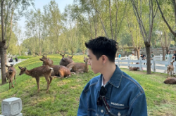 赤峰小鹿動物園電話多少號