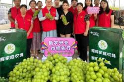 赤峰寵物店直播基地電話號(hào)碼