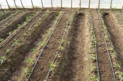 赤峰滴灌帶銷(xiāo)售商電話號(hào)碼