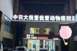 赤峰紅山區(qū)寵物店電話號(hào)碼