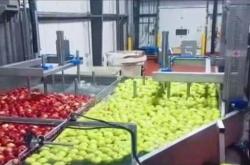 赤峰超然果蔬加工廠電話號碼