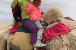 赤峰戶外迷彩服裝店電話號碼