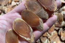 赤峰人參片批發(fā)商家電話號碼