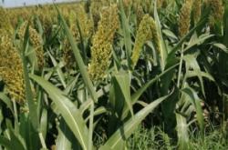 赤峰寧城縣婷婷超市電話號碼