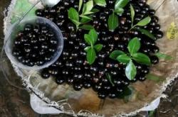 赤峰市酒鬼酒廠地址電話號碼