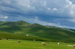 赤峰天順副食店電話多少號