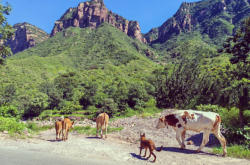 赤峰錦山拆車廠電話多少號