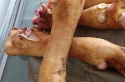 赤峰市修牛蹄的地方電話號(hào)碼