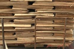 赤峰實(shí)木多層板廠家電話號(hào)碼