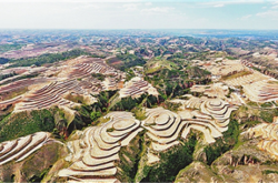 赤峰市修梯田電話(huà)號(hào)碼是多少