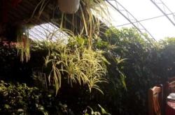 赤峰市豪華飯店電話號碼查詢