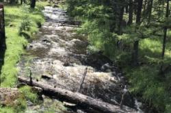 赤峰市森林公安舉報(bào)電話多少