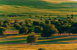 赤峰林西游樂園電話號(hào)碼