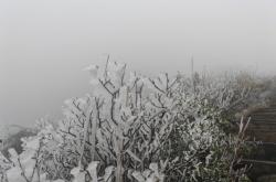 赤峰市春雪掛面廠電話號碼