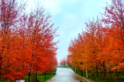 赤峰古楓美發(fā)電話號碼查詢