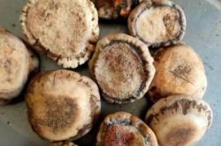 赤峰中藥廠藥渣批發(fā)電話號碼