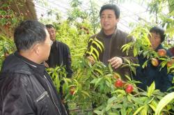 赤峰橋頭鎮(zhèn)疫情防控電話號碼