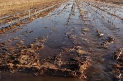 赤峰市松山區(qū)團(tuán)委官網(wǎng)