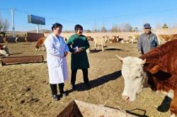 赤峰獸醫(yī)牛羊肉店電話地址查詢