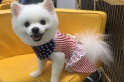 赤峰萌寵基地電話地址查詢號碼