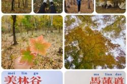 赤峰市美林鎮(zhèn)古山村電話號碼