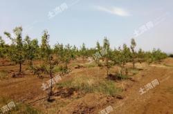 赤峰發(fā)電廠寧城二廠電話是多少