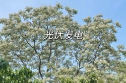 赤峰光伏免費安裝公司電話號碼