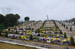 赤峰賓怡商貿(mào)公司地址電話號(hào)碼