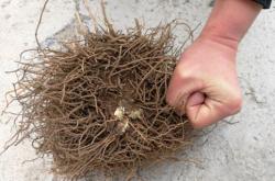 赤峰二手牛鋪市場(chǎng)電話號(hào)碼