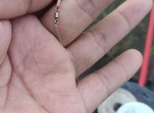 赤峰擺地?cái)傎u魚(yú)電話號(hào)碼是多少