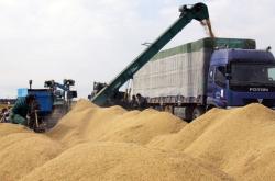 赤峰林東糧食收購(gòu)站電話號(hào)碼